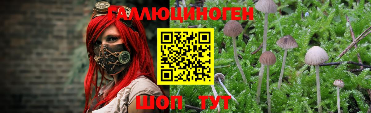 Галлюциногенные грибы мухоморы Аксай